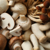 Funghi Champignon