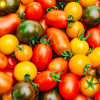 Pomodori